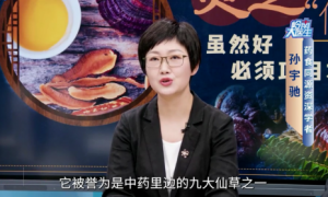 被忽视的健康密码：正气与现代扶正疗法
